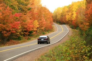 Car Driving in the Fall