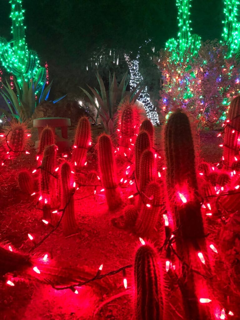 Best Christmas Lights in Phoenix Sun Devil Auto